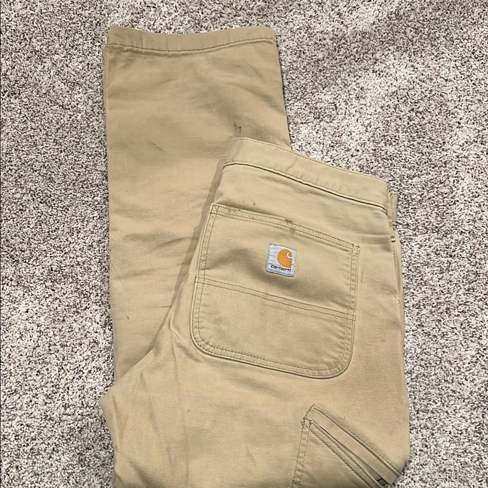 31x30 Carhartt stained Men's Pants